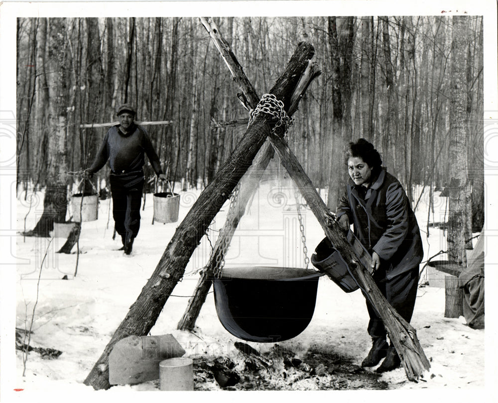 1964 maple syrup industry north america-Historic Images