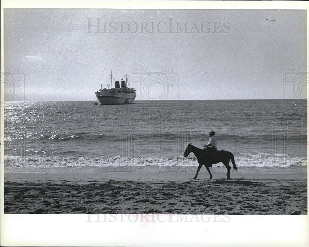 1979 Press Photo Mexico Beach Horse - Historic Images