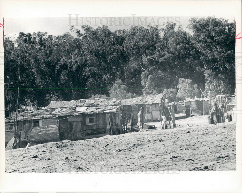 1984 Press Photo South Africa Squatters Apartheid Camp - Historic Images