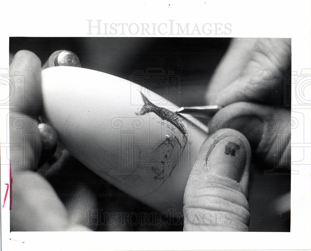 1973 Press Photo Jack Newby waits for whale teeth - Historic Images