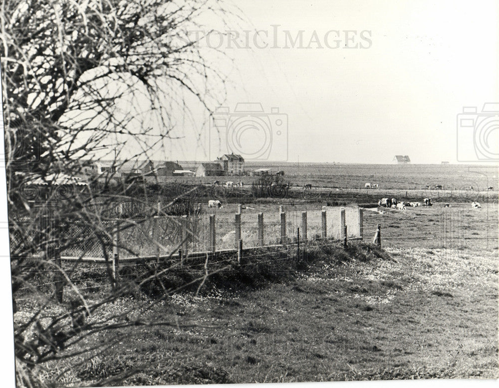 Press Photo D-day world war 2 - Historic Images