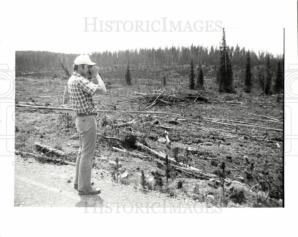 1985 Press Photo yellow stone national park - Historic Images