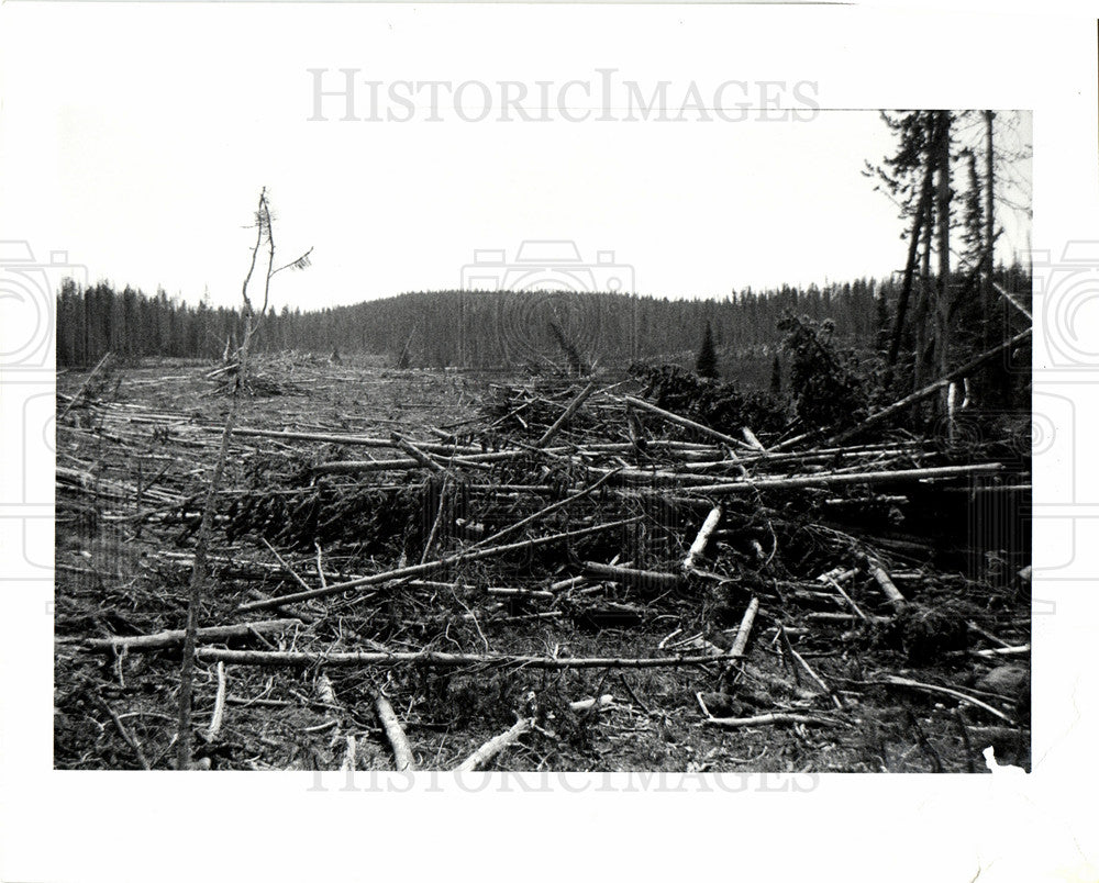 1985 Press Photo Yellowstone National Park US - Historic Images