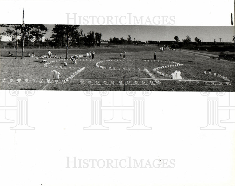 1988 Press Photo Airplane Accident Detroit Flight 255 - Historic Images