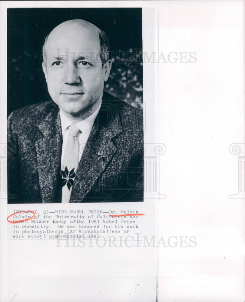 1961 Press Photo Melvin Calvin chemistry Nobel Prize - Historic Images