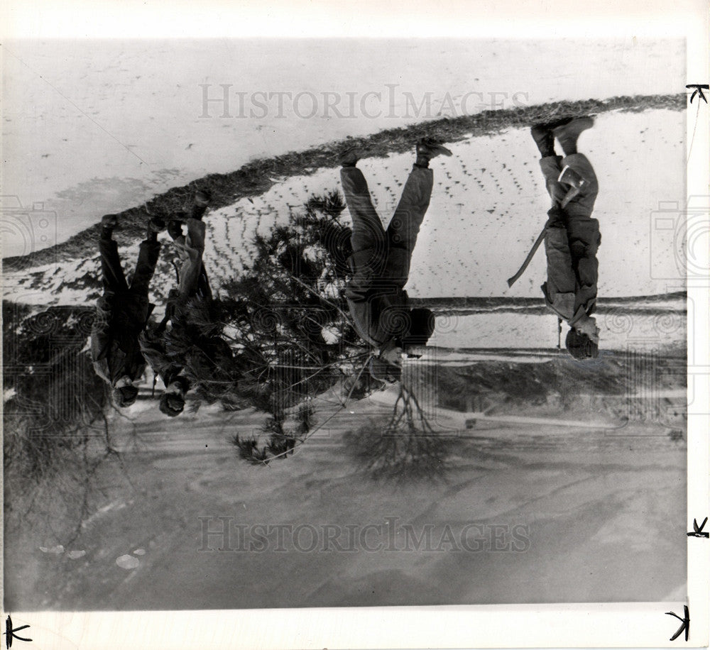 1952 Korea tree Christmass - Historic Images