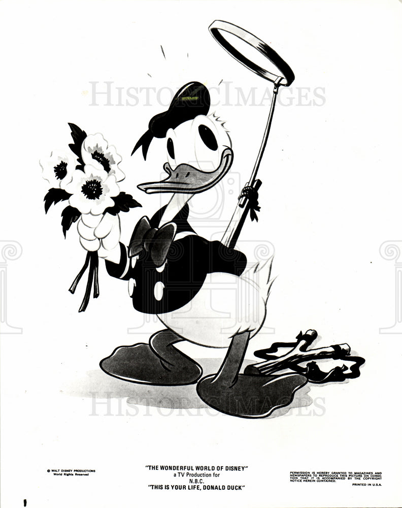 1980 Press Photo Walt Disney life Donald Duck - Historic Images