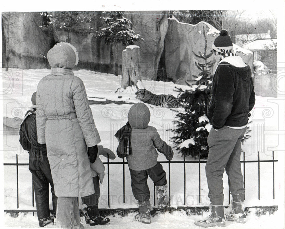 Press Photo Detroit zoo Tiger Ron Dimmer - Historic Images