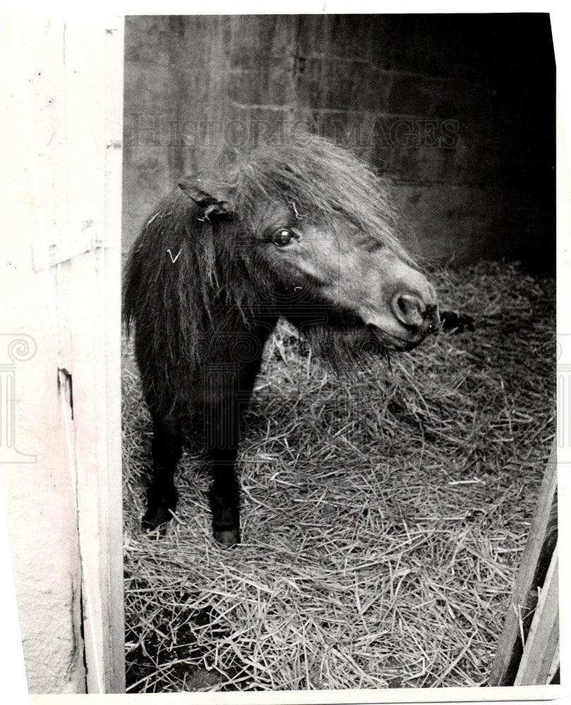 1974 Detroit Zoological Park-Historic Images