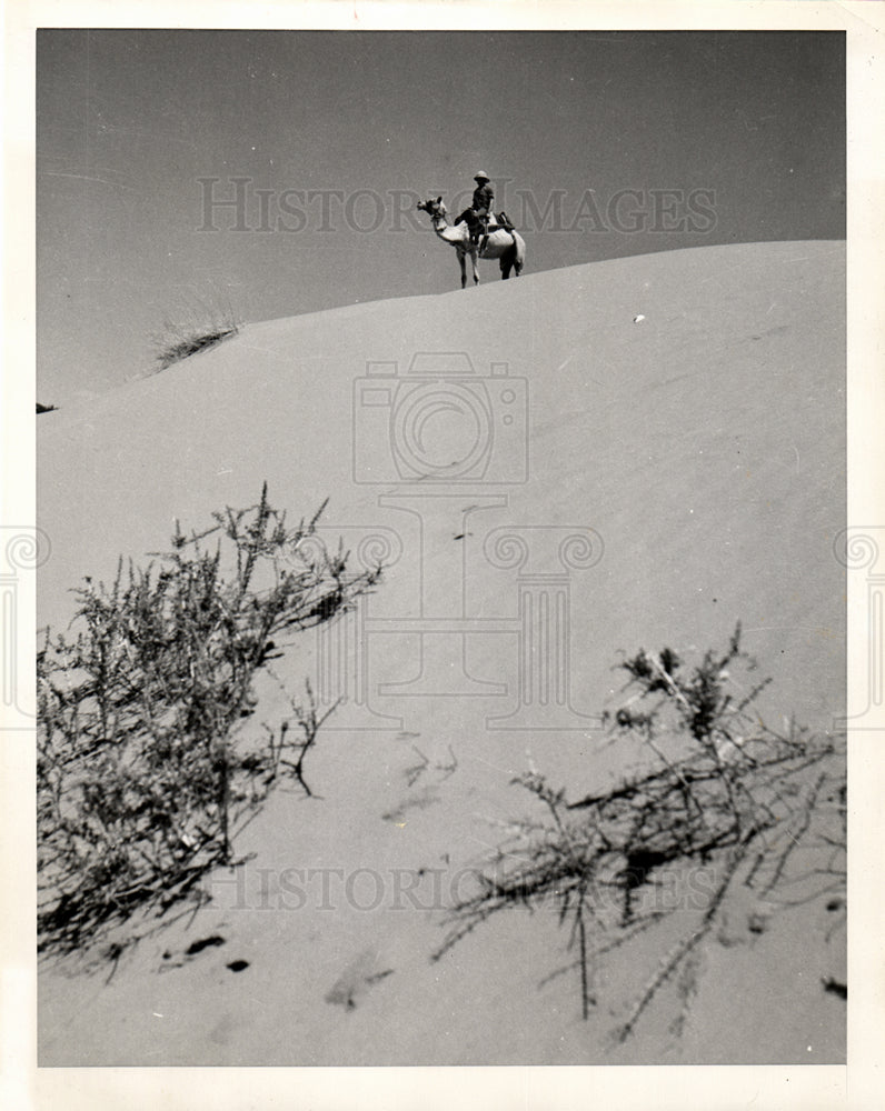 Kalahari desert policeman camel-Historic Images