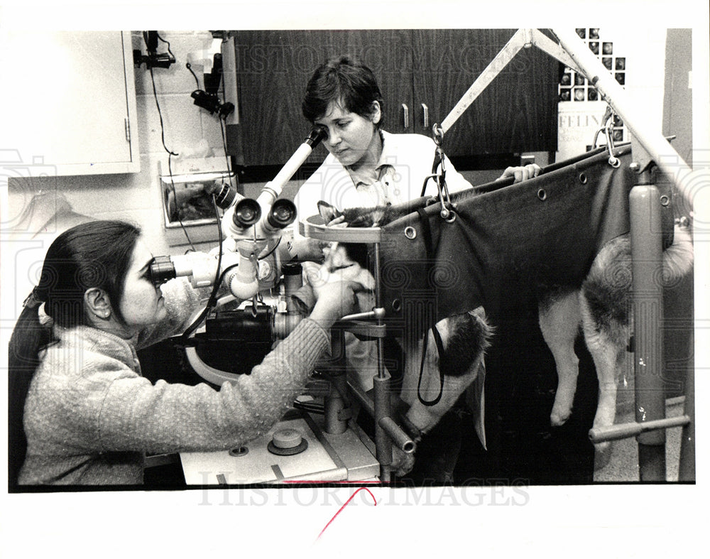 1988 Press Photo MSU Bio-microscope Cynthia Wheeler Dog - Historic Images