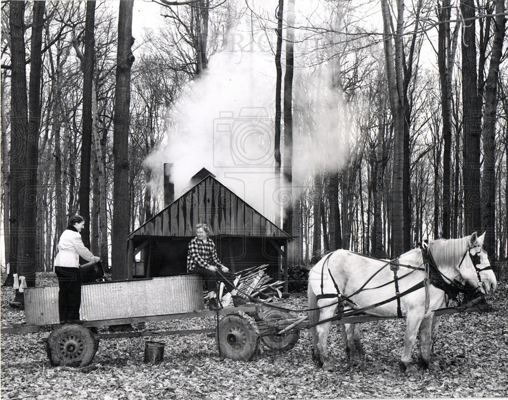 1955 MAPLE SYRUP FESTIVAL - Historic Images