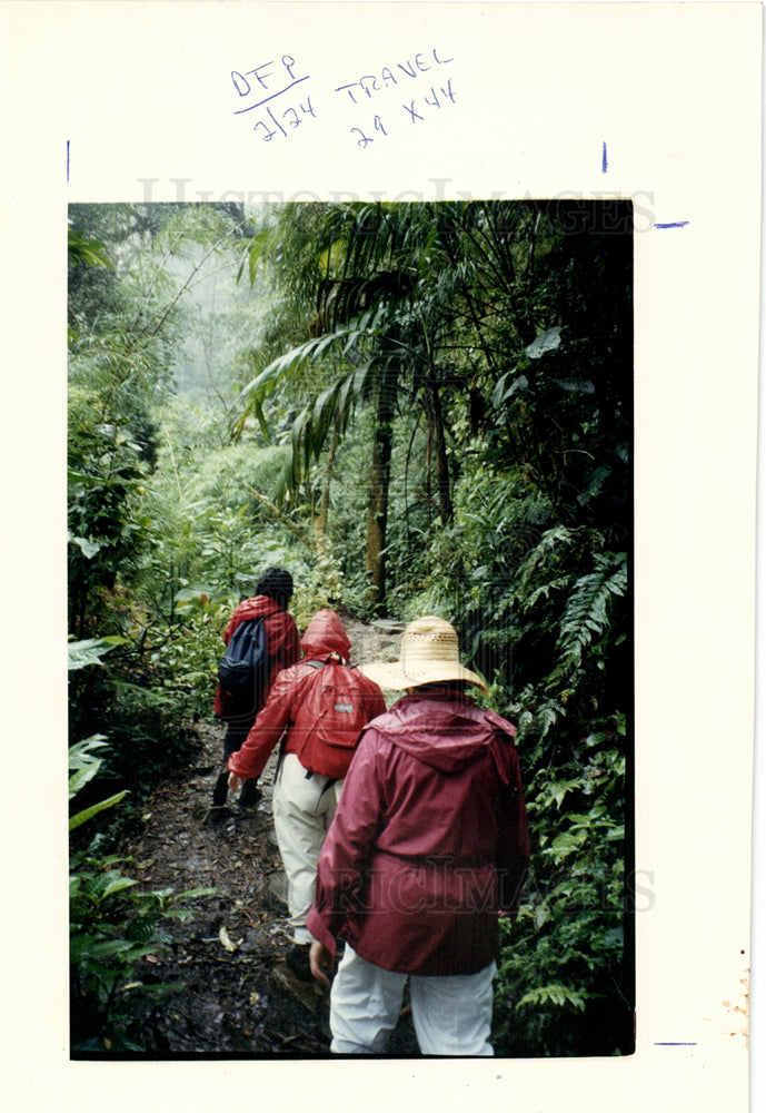 1991 Press Photo Hikers in Monteverde Cloud Forest - Historic Images