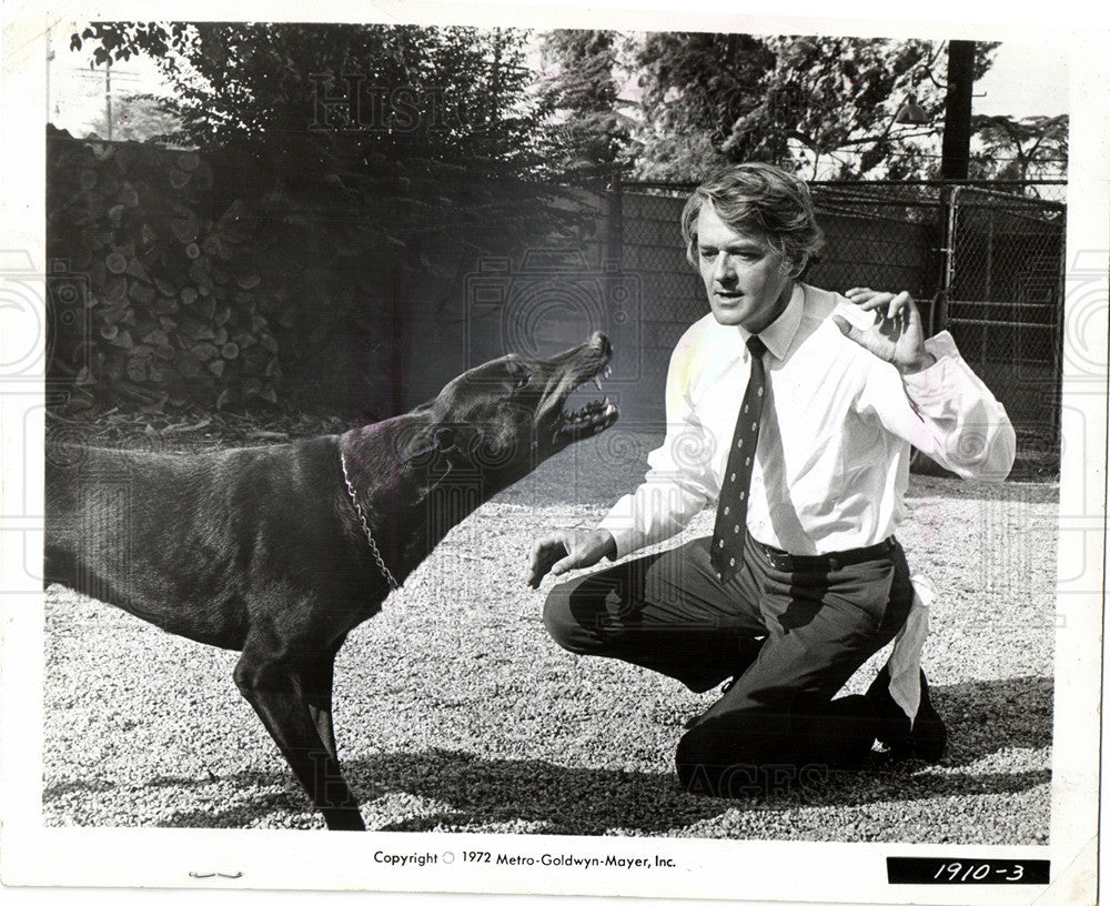 1972 Press Photo Hal Holbrook destroy Doberman Dog - Historic Images