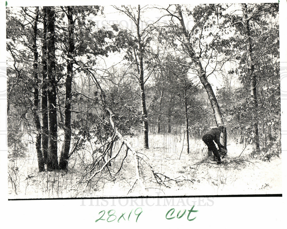 1987 Press Photo Horujko tree cutting - Historic Images