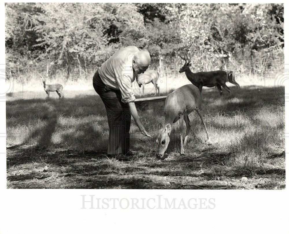 1970 Press Photo raising deer Hunt feeding wildlife - Historic Images