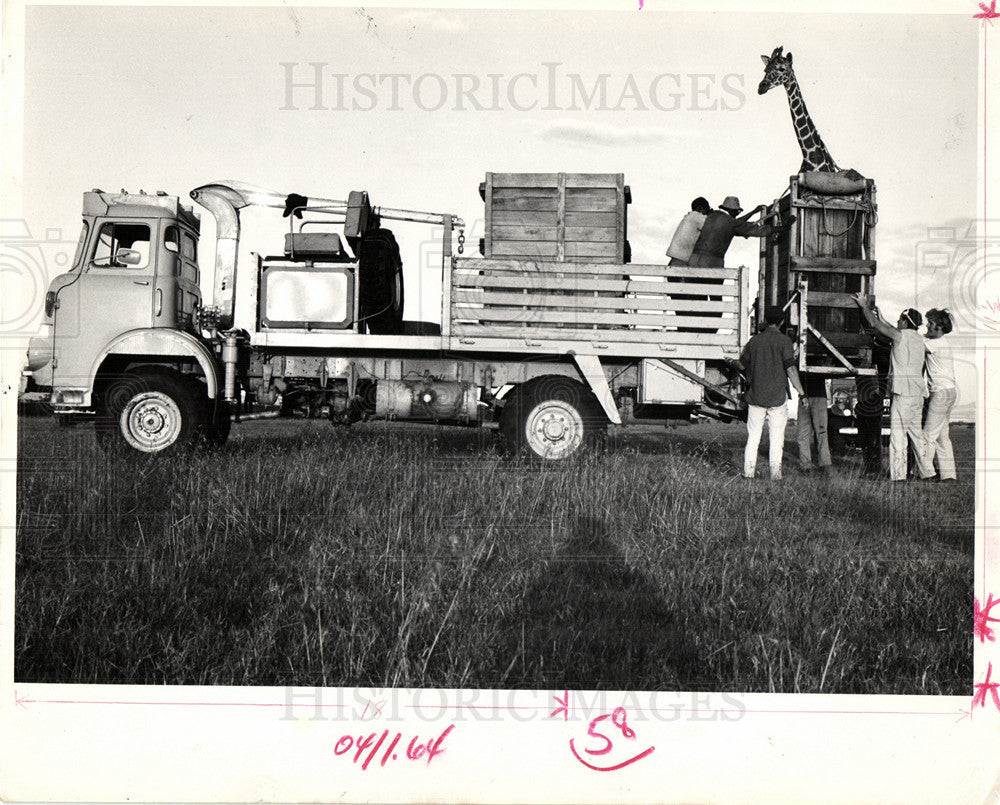 1972 Press Photo BWANA DON HUNT animal exchange - Historic Images