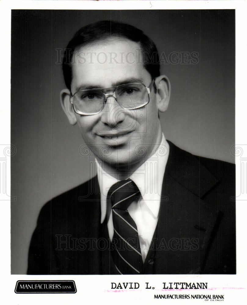 1981 Press Photo David Littmen historian - Historic Images