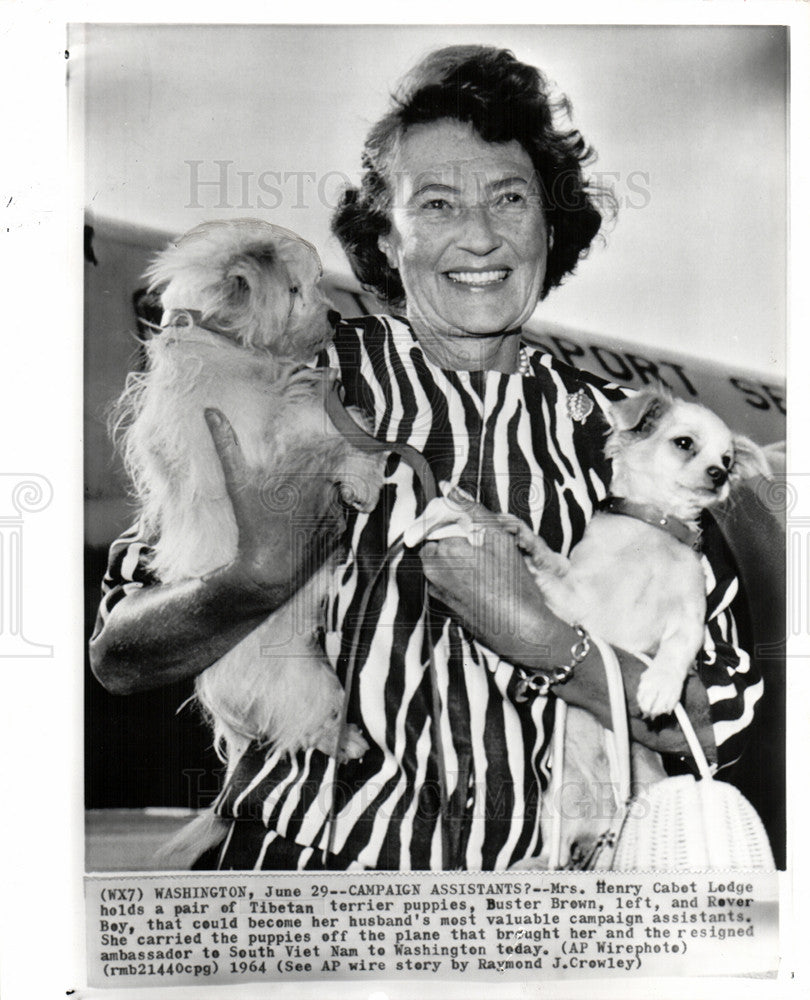 1964 Press Photo Lodge came back with a pair of pups - Historic Images