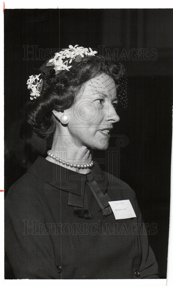 1960 Press Photo Mrs.Harold O.love - Historic Images