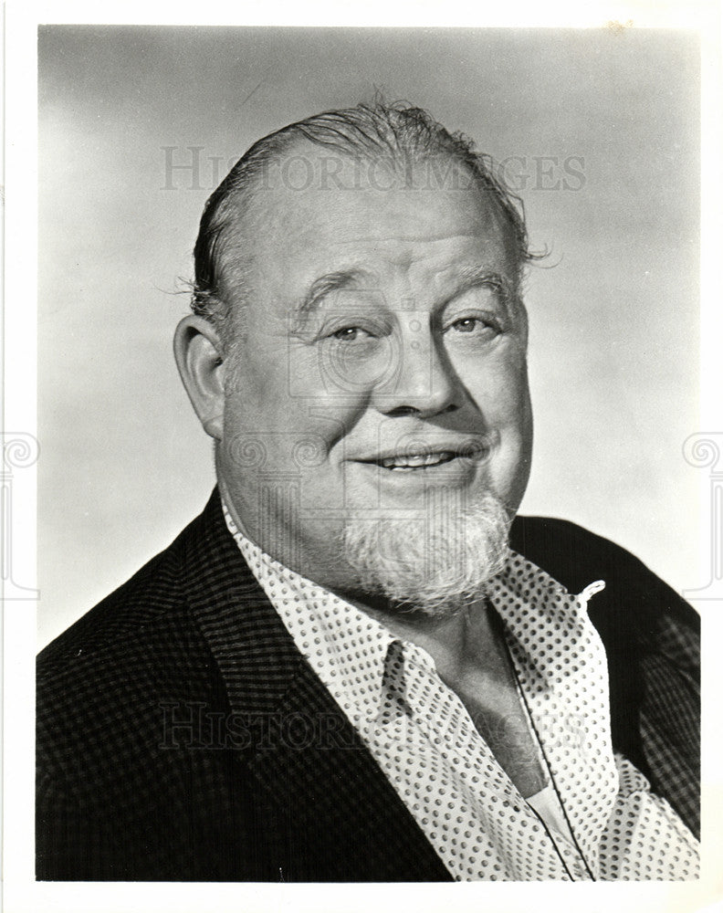 1985 Press Photo Burl Ives Series Star Attorney Walter - Historic Images