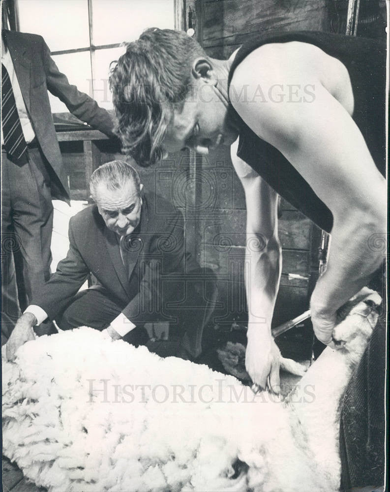 1966 Press Photo LBJ president australia sheep - Historic Images