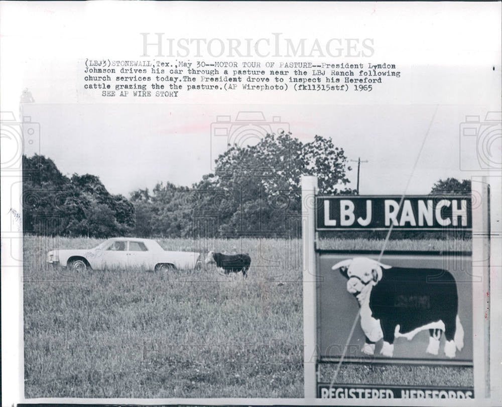 1965 Press Photo Lyndon B. Johnson President - Historic Images