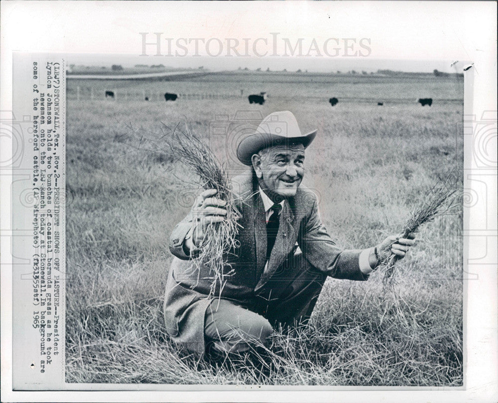 1966 Press Photo President Lyndon Johnson - Historic Images