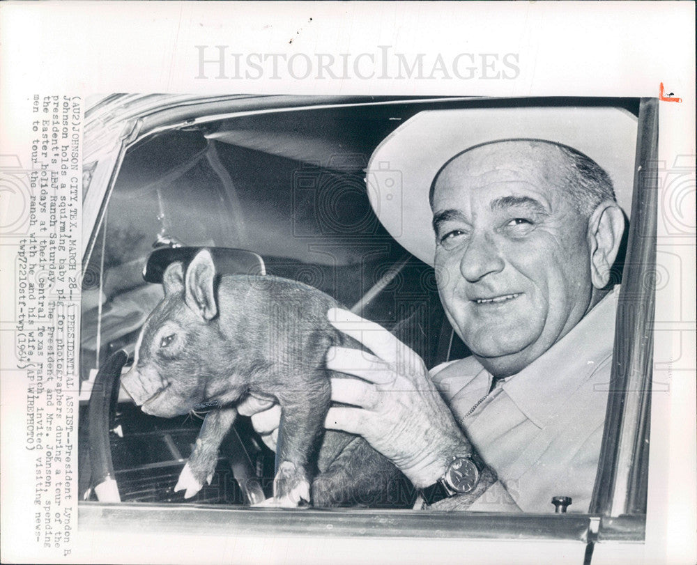 1964 Press Photo LYNDON B. JOHNSON baby pig LBJ ranch - Historic Images