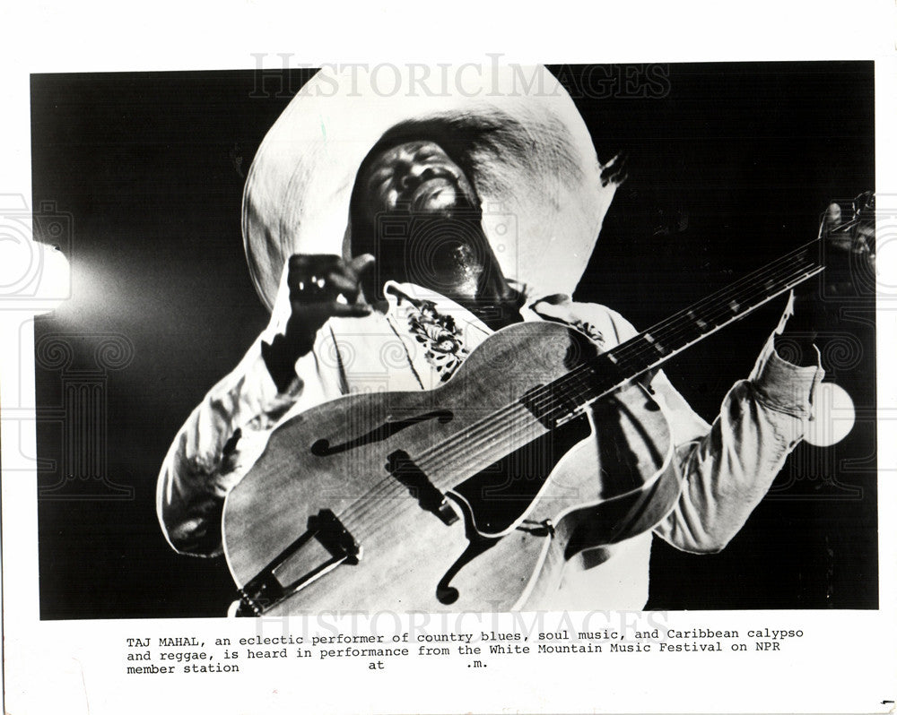 1986 Press Photo Taj Mahal country calypso musician - Historic Images