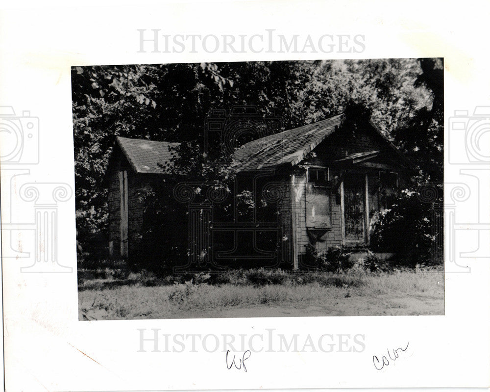 1990 Press Photo Naomi Long Madgett Poet Family Home - Historic Images
