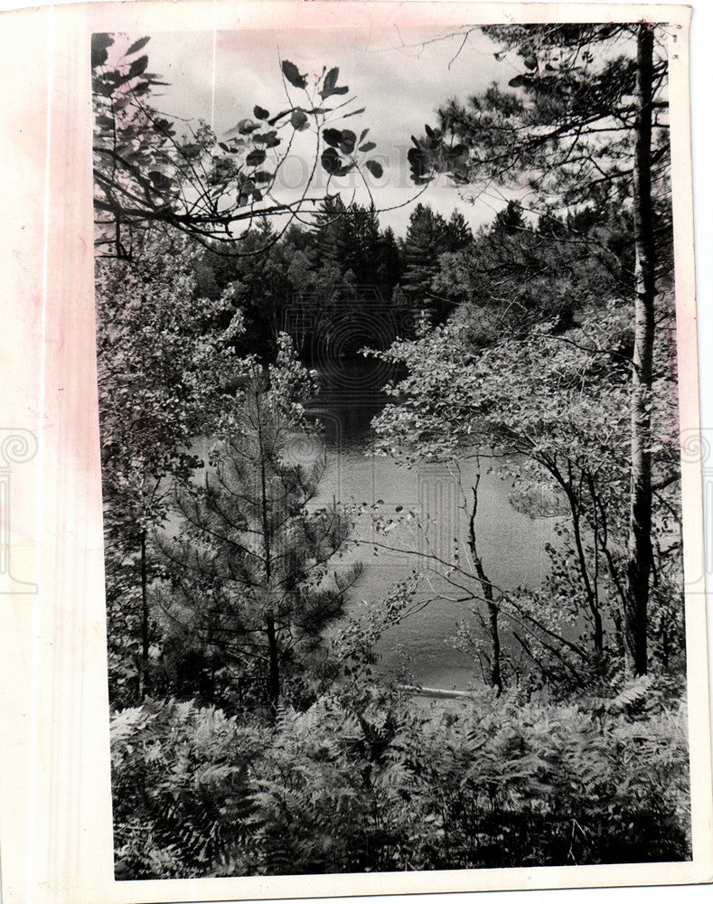 1975 Press Photo Pigeon River Country State Forest - Historic Images