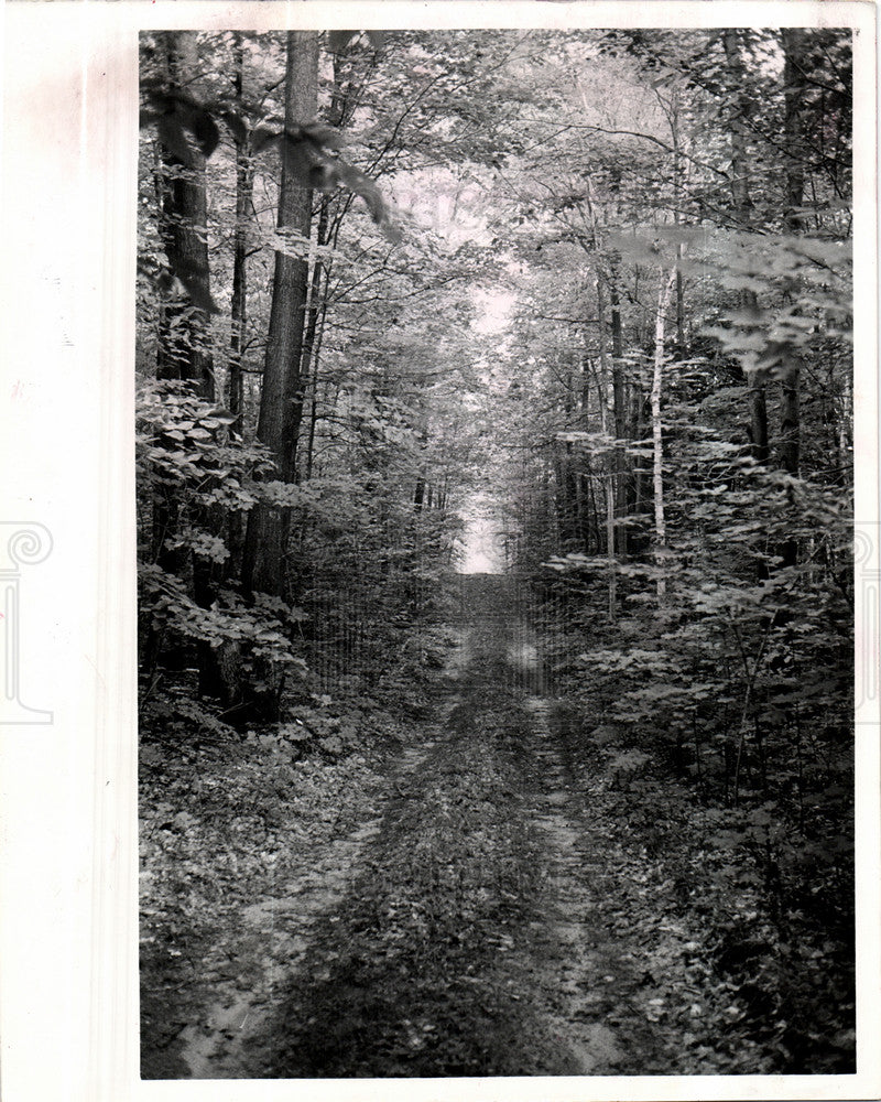 1980 Press Photo Pigeon River Mountain Lake - Historic Images