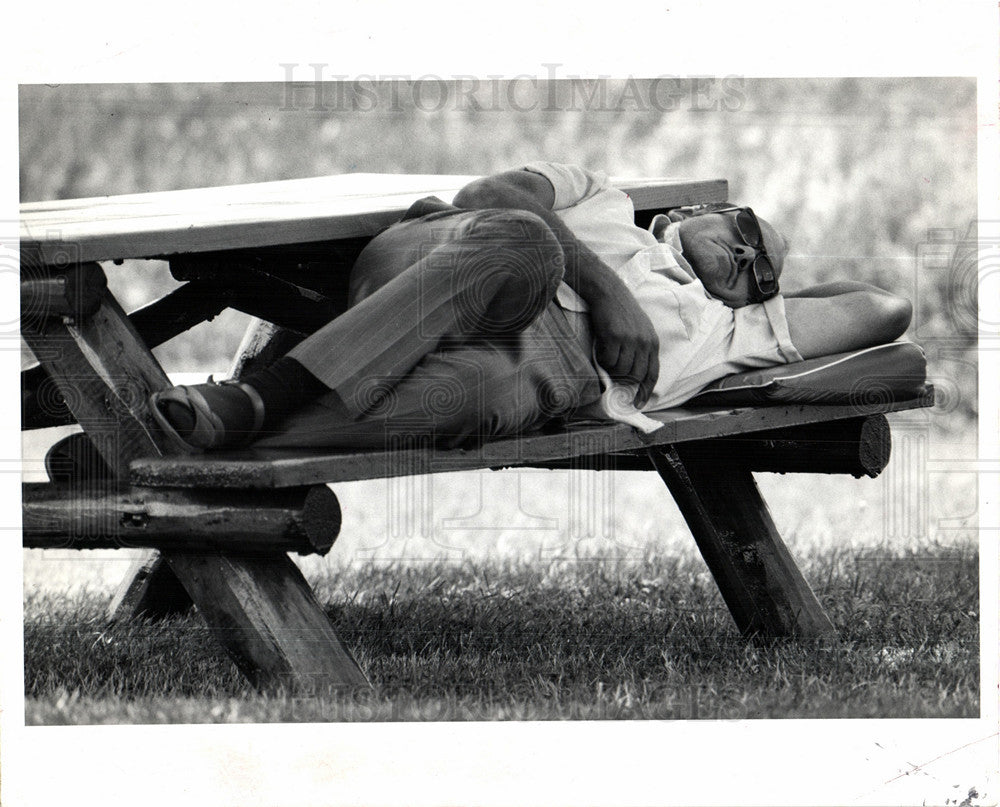 Press Photo picnic - Historic Images