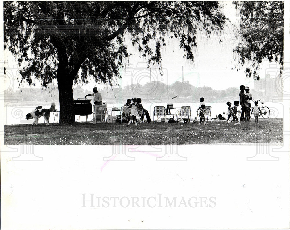 1978 Press Photo Family Picnic Bell Isle - Historic Images