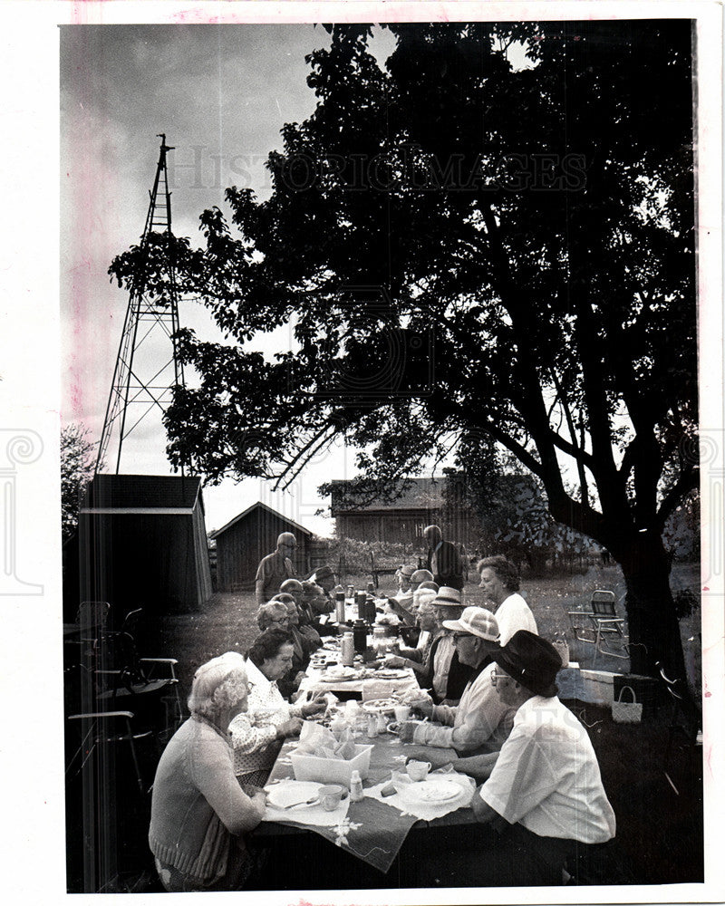 1974 Press Photo Club Picnic Southfield Mary Thompson - Historic Images