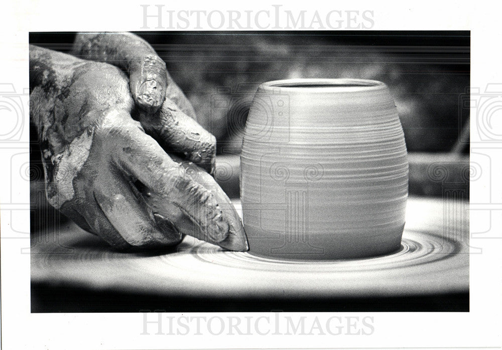 1981 Press Photo Rosemary Willoughby Detroit artist - Historic Images