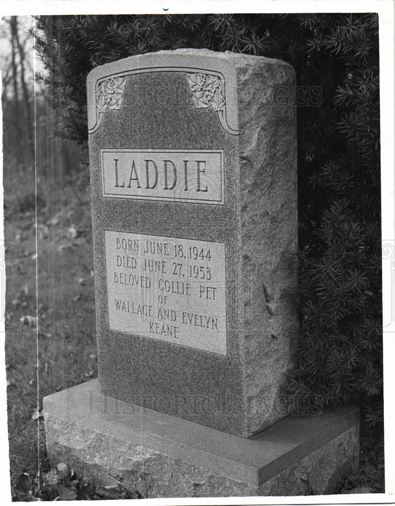 1958 Press Photo Pet Grave-site Headstone - Historic Images