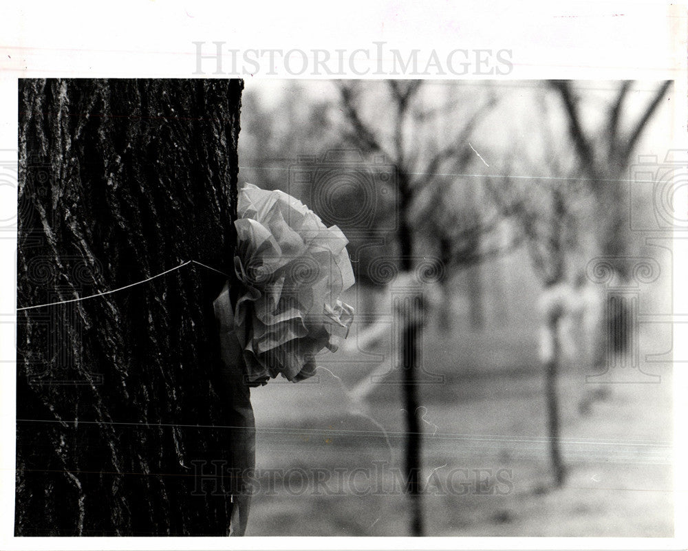 1991 Press Photo James Ricci, Yellow Ribbon - Historic Images