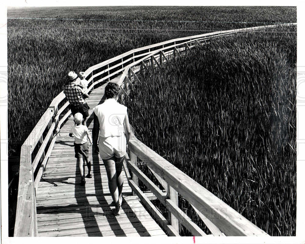 1984 Press Photo Pelee National Park Ontario marsh - Historic Images