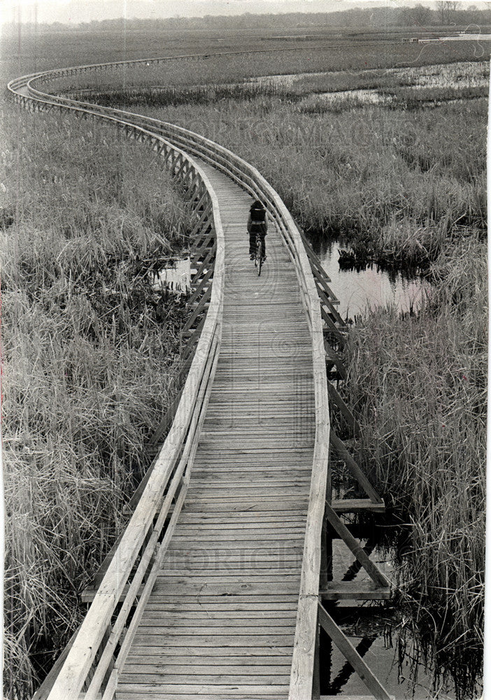 1974 Press Photo Point Pelee Park Ontario Canada Marsh - Historic Images