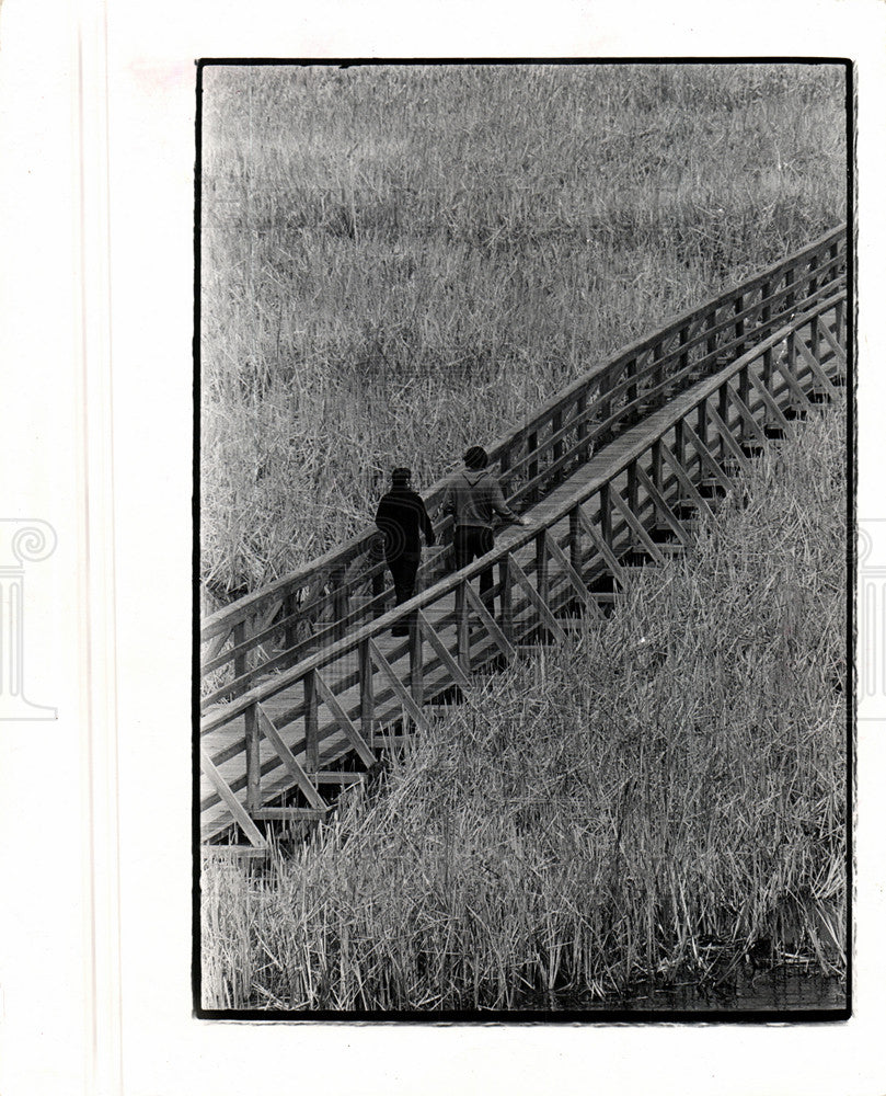 Press Photo Point pelee Ontario - Historic Images