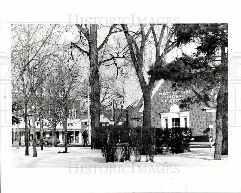 1978 Press Photo Plymouth, Michigan - Historic Images