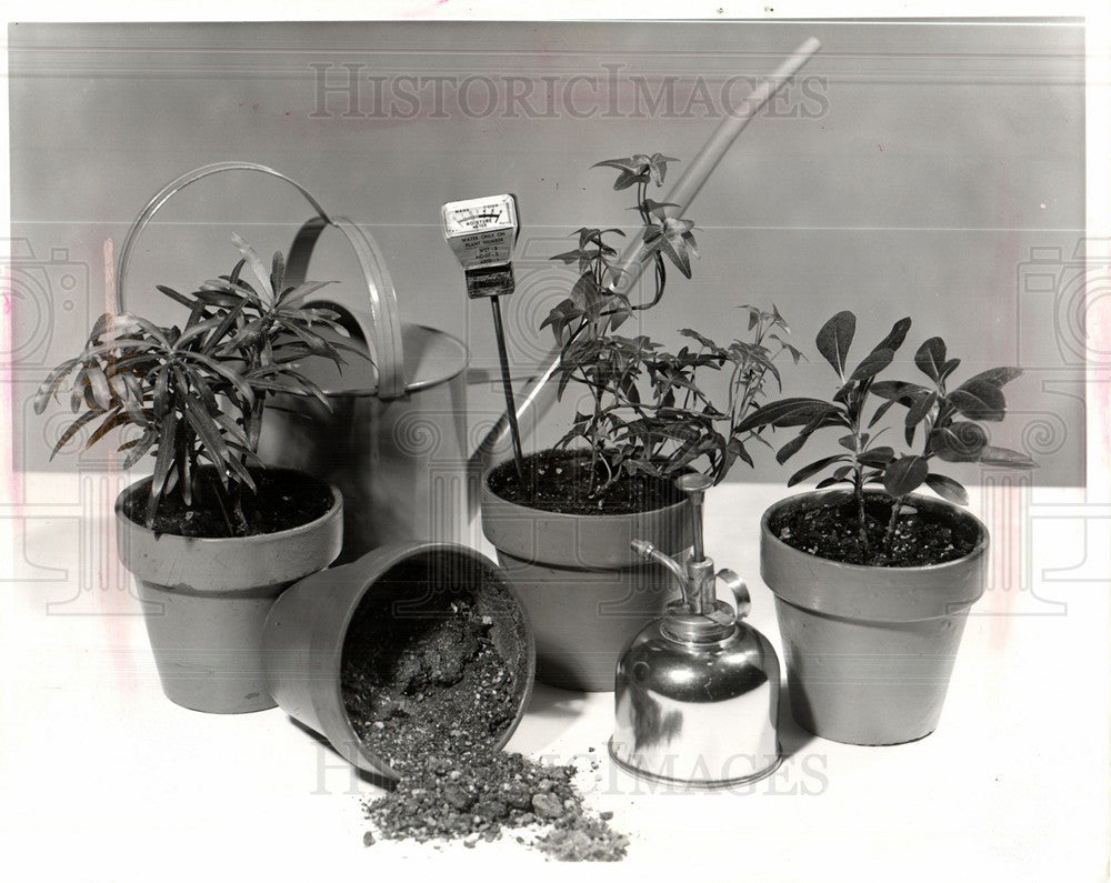 1982 Press Photo plant care planning greenhouse - Historic Images