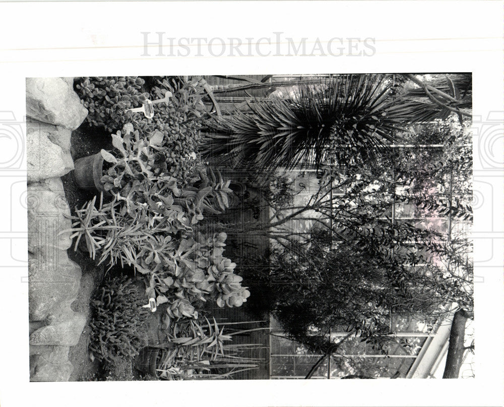 1983 Press Photo Plant - Historic Images