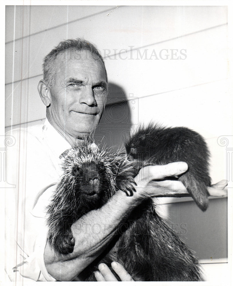 1964 Press Photo Porcupine domesticated Delbert Dunbar - Historic Images