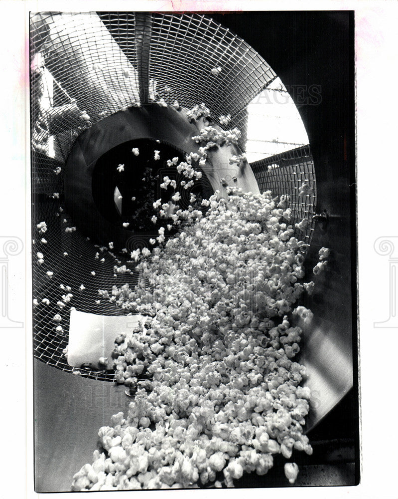 1982 Press Photo Detroit Popcorn Company - Historic Images