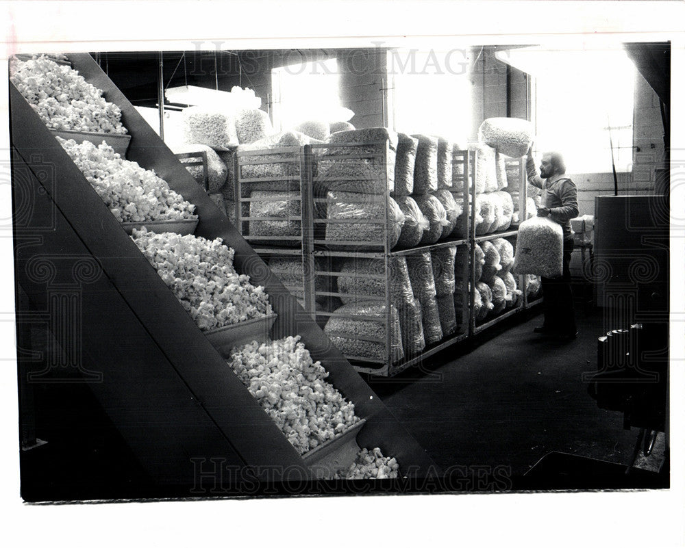 1982 Press Photo detroit, popcorn concessions, movie - Historic Images