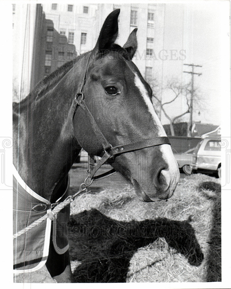 1977 Press Photo Police - Historic Images