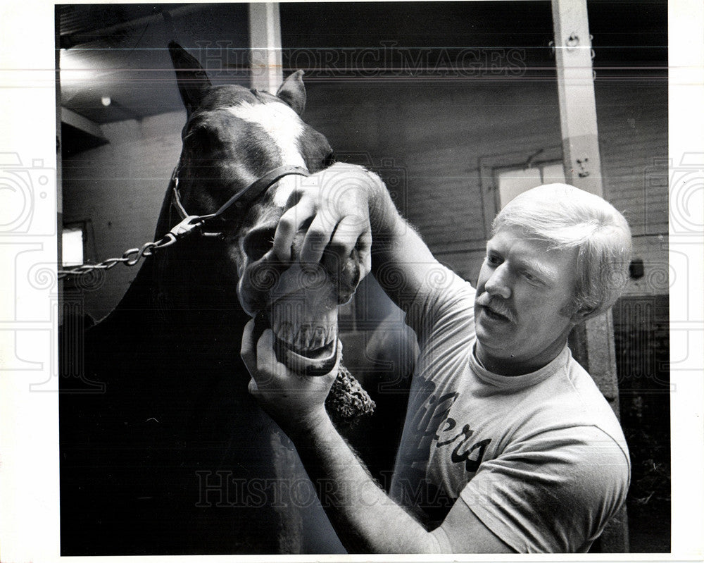 1980 Press Photo Dooley Horse Detroit Mounted Division - Historic Images